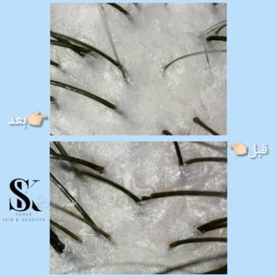 آموزش دوره‌های فیشال حرفه‌ای